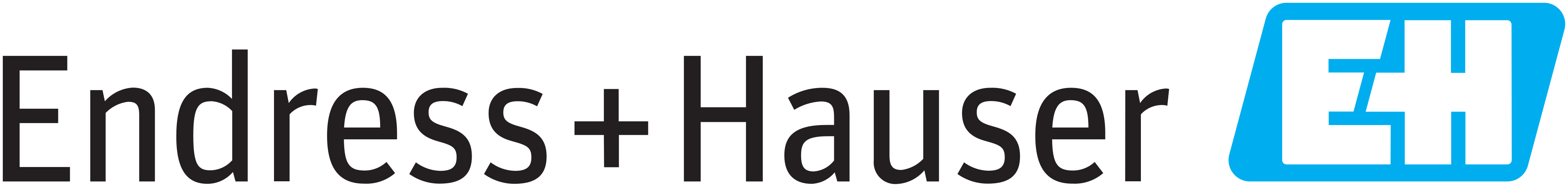 Endress+Hauser
